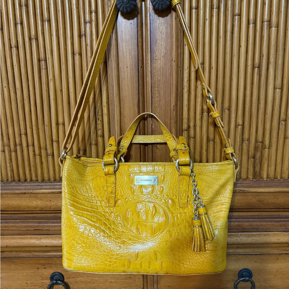 Brahmin Aster bag